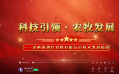 ������졤¤ԭʵ�ɣ�������׳ũ�����Բ�ҵ��������� ��ʵ�ɵ���������